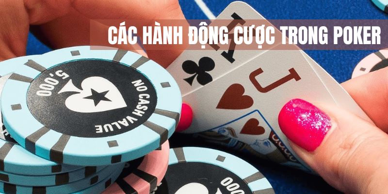 Các hành động bet thủ có thể thực hiện khi chơi poker