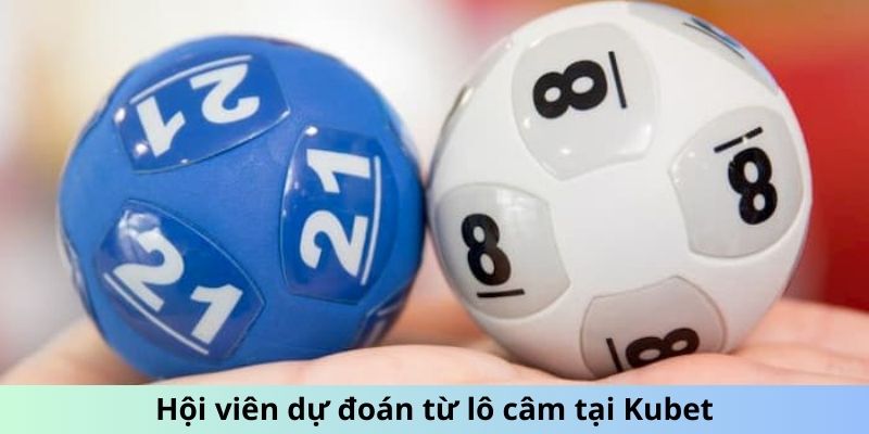 Hội viên dự đoán từ lô câm tại Kubet